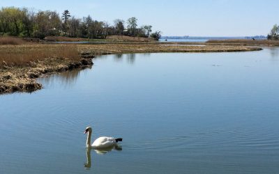 Udall’s Cove Park Preserve