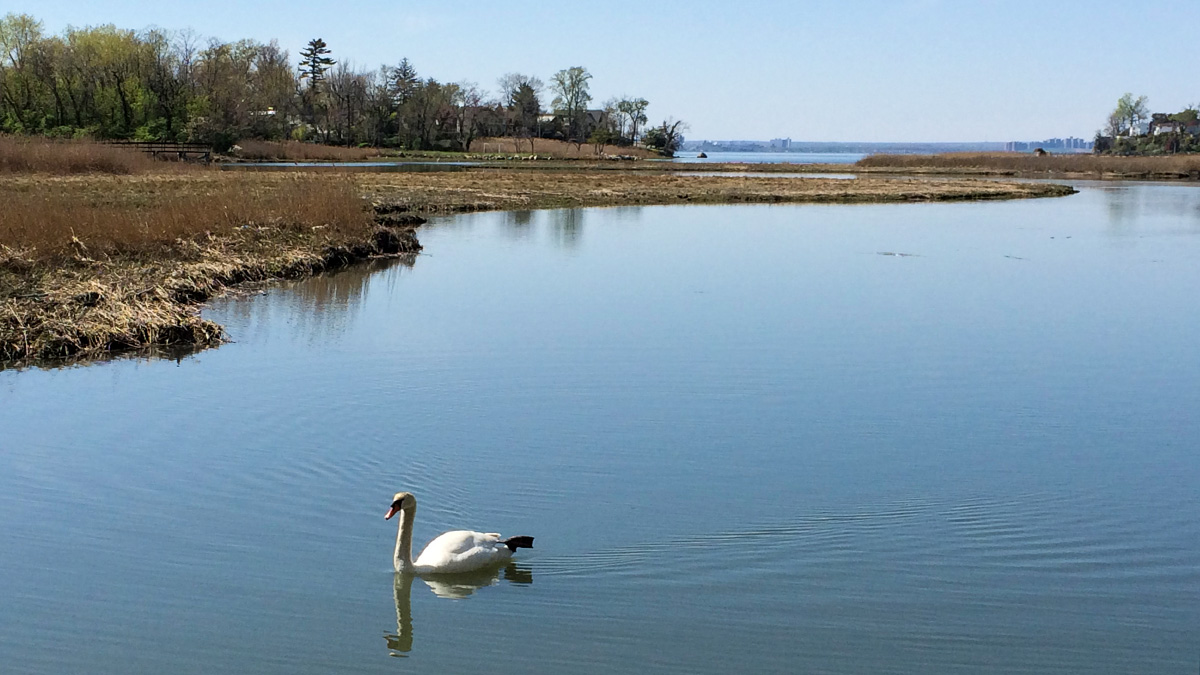 Udall’s Cove Park Preserve