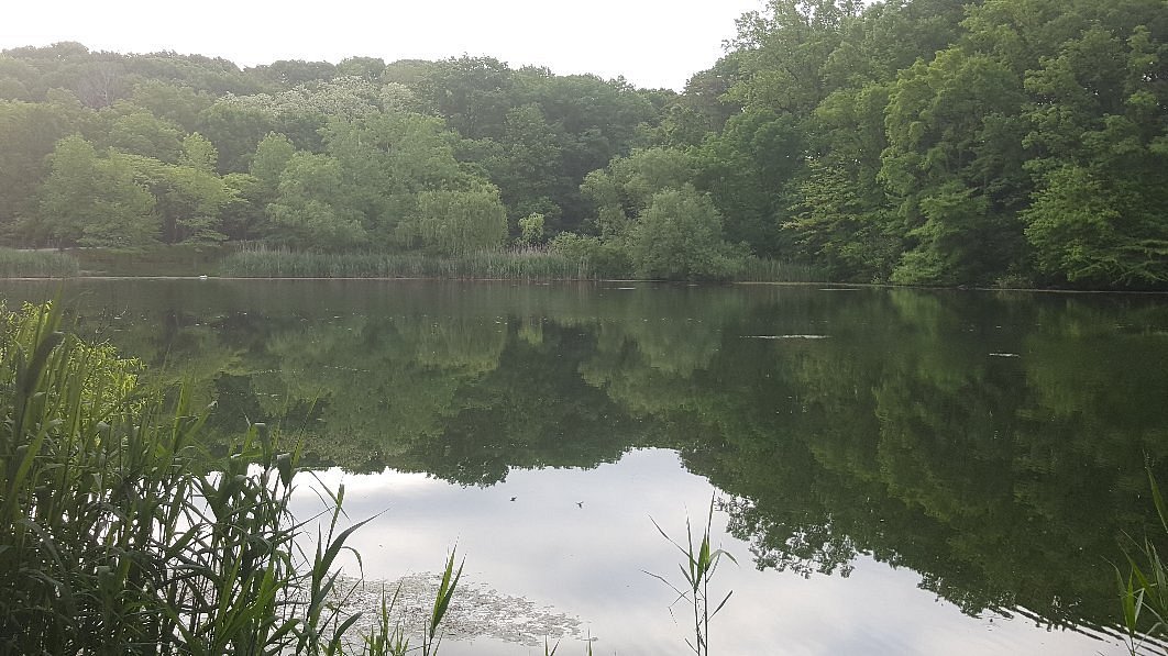 Alley Pond Environmental Center